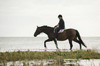 Frau reitet Trakehner