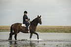 Frau reitet Trakehner