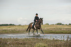 Frau reitet Trakehner