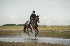 Frau reitet Trakehner