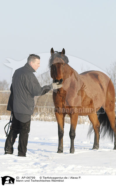 Mann und Tschechisches Warmblut / man and Czech warmblood / AP-06799