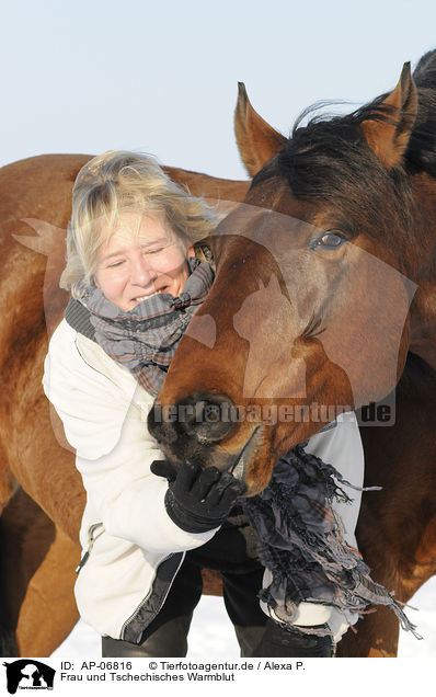 Frau und Tschechisches Warmblut / woman and Czech warmblood / AP-06816