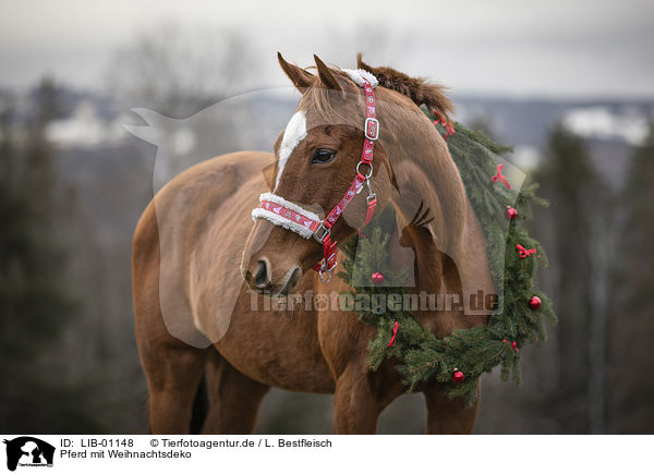 Pferd mit Weihnachtsdeko / LIB-01148