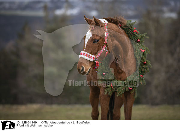 Pferd mit Weihnachtsdeko / LIB-01149