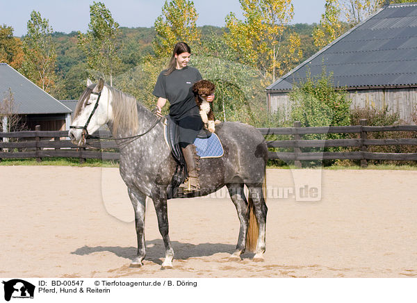 Pferd, Hund & Reiterin / BD-00547