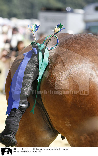 Pferdeschweif auf Show / horse tail on show / TR-01018