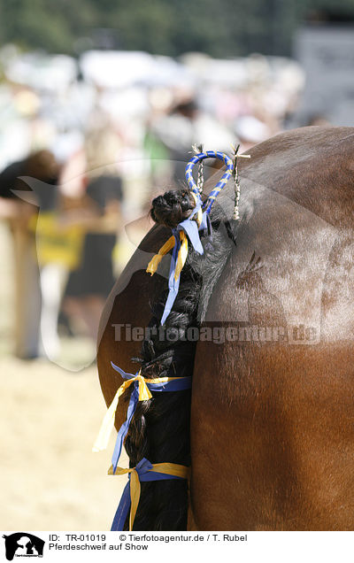 Pferdeschweif auf Show / horse tail on show / TR-01019