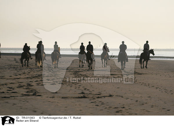 Reiter am Strand / rider / TR-01083