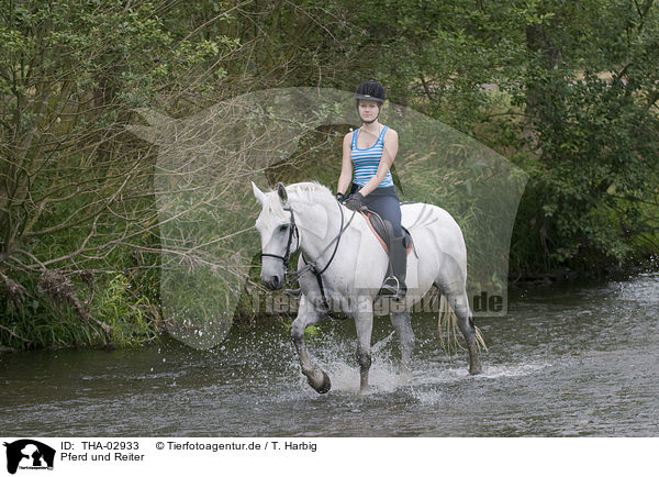 Pferd und Reiter / horseriding / THA-02933