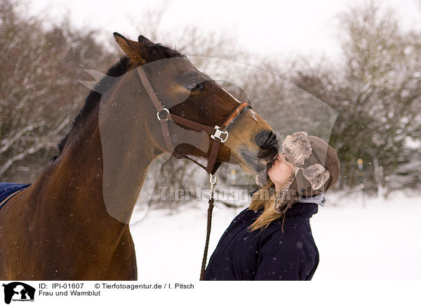 Frau und Warmblut / IPI-01607