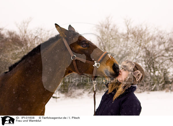 Frau und Warmblut / IPI-01608