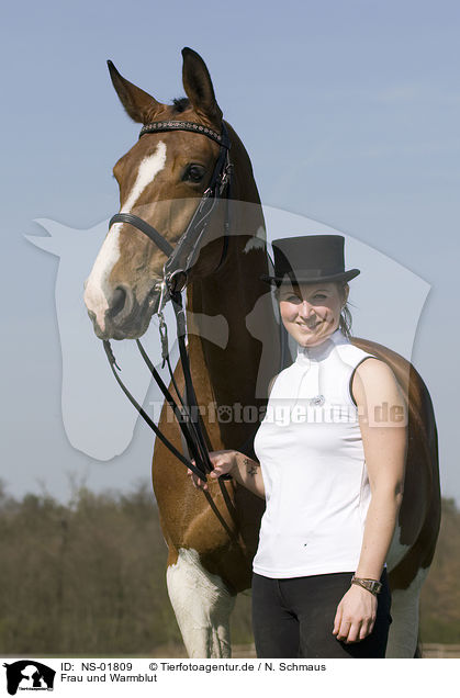 Frau und Warmblut / woman and warmblood / NS-01809