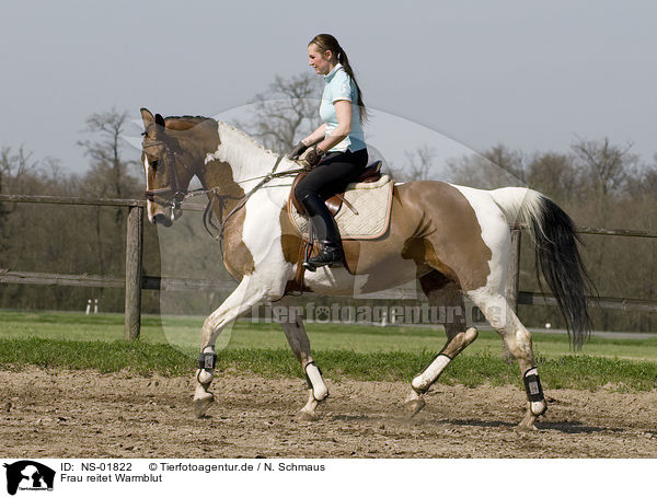 Frau reitet Warmblut / woman rides warmblood / NS-01822