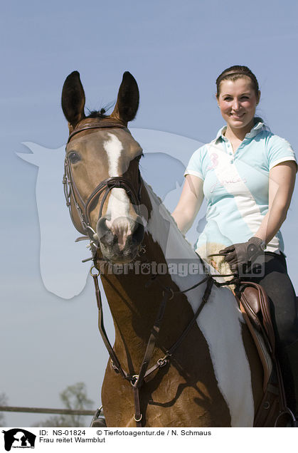 Frau reitet Warmblut / woman rides warmblood / NS-01824