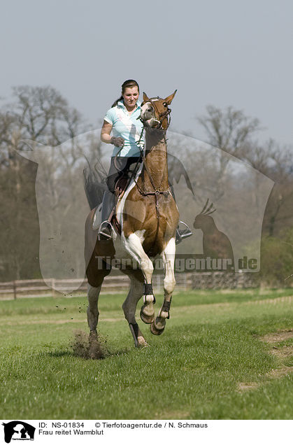 Frau reitet Warmblut / woman rides warmblood / NS-01834