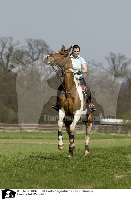 Frau reitet Warmblut / woman rides warmblood / NS-01837