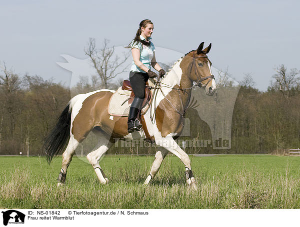 Frau reitet Warmblut / woman rides warmblood / NS-01842