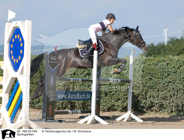 Springreiten / showjumping / NS-02199