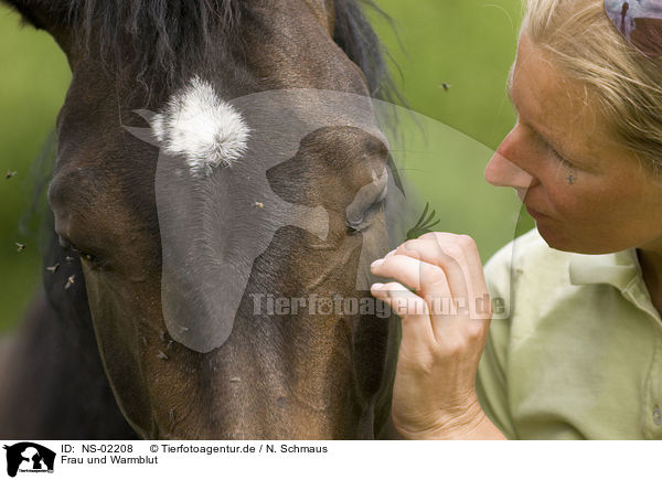 Frau und Warmblut / woman and warm-blood / NS-02208