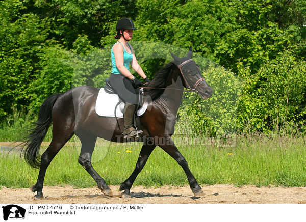 Frau reitet Warmblut / woman rides warmblood / PM-04716
