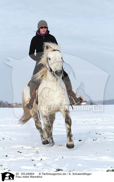 Frau reitet Warmblut / woman rides warmblood / SS-26864