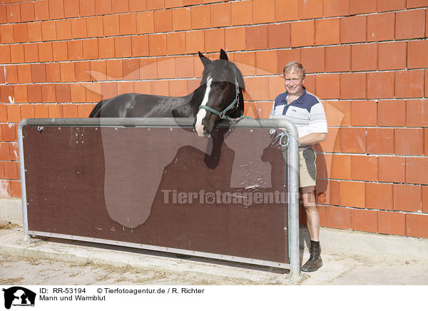 Mann und Warmblut / man and warmblood / RR-53194