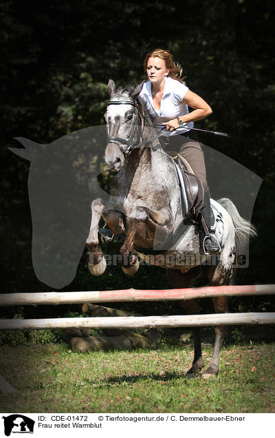 Frau reitet Warmblut / woman rides warmblood / CDE-01472