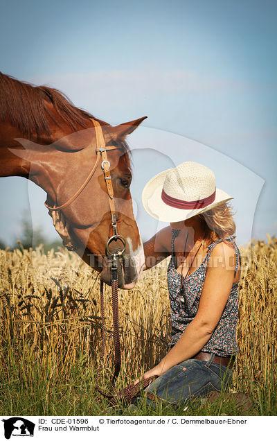 Frau und Warmblut / woman and warmblood / CDE-01596