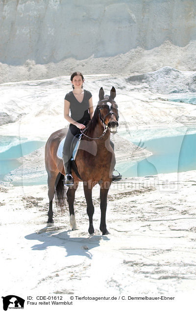 Frau reitet Warmblut / woman rides warmblood / CDE-01612