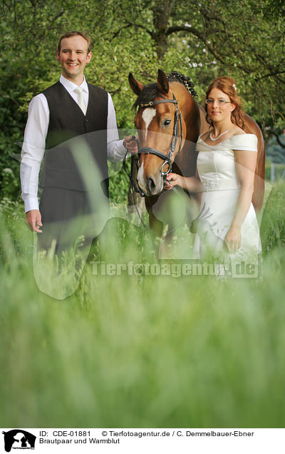 Brautpaar und Warmblut / newlyweds and warmbood / CDE-01881