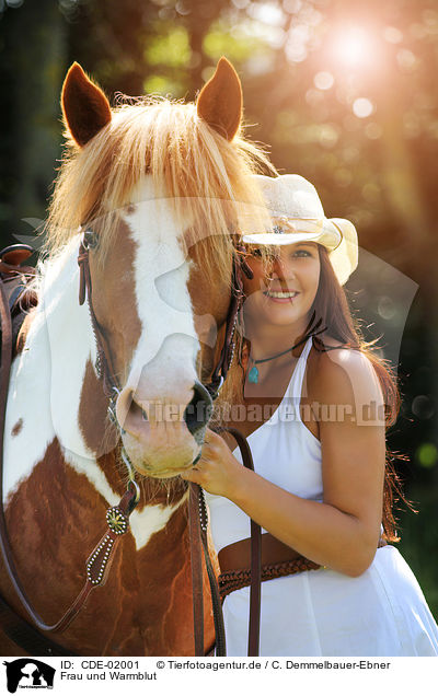 Frau und Warmblut / woman and warmblood / CDE-02001