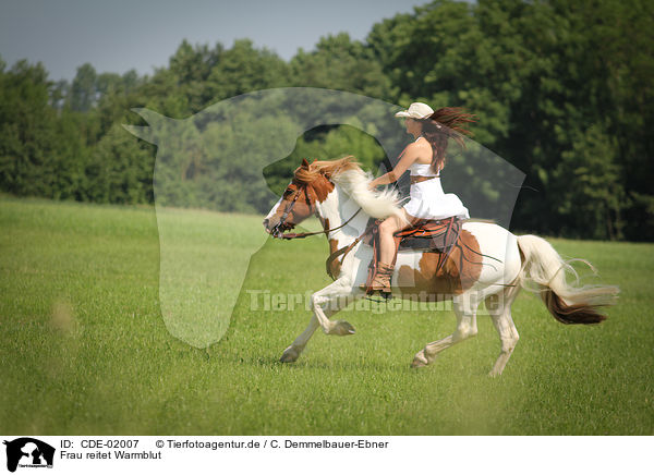 Frau reitet Warmblut / CDE-02007