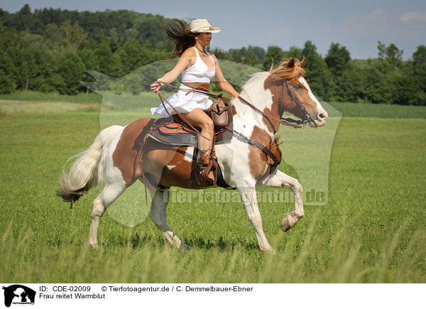 Frau reitet Warmblut / woman rides warmblood / CDE-02009