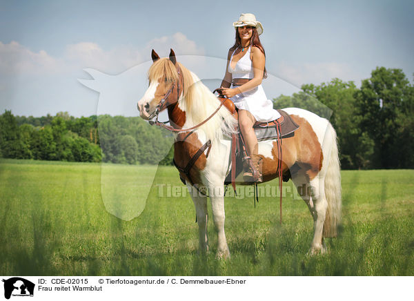 Frau reitet Warmblut / woman rides warmblood / CDE-02015