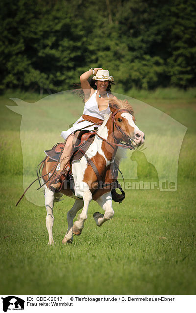 Frau reitet Warmblut / woman rides warmblood / CDE-02017