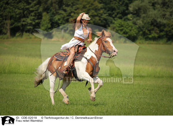 Frau reitet Warmblut / woman rides warmblood / CDE-02018