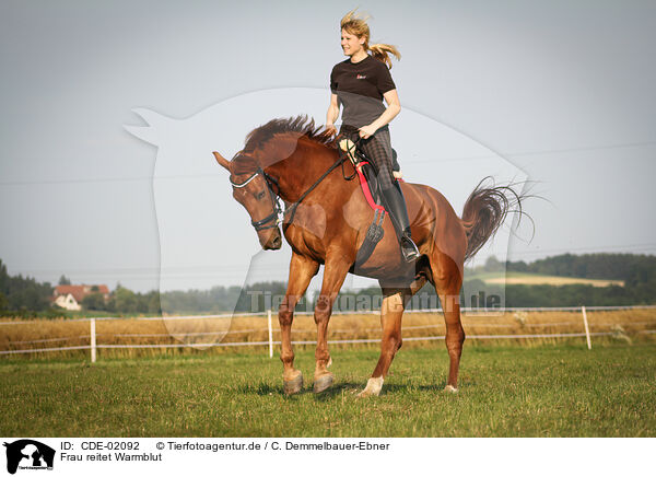 Frau reitet Warmblut / woman rides warmblood / CDE-02092