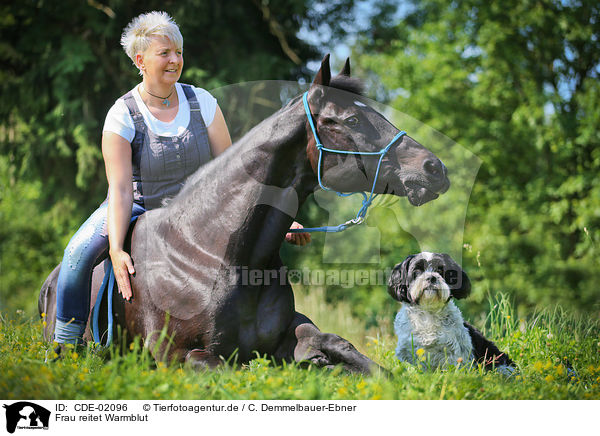 Frau reitet Warmblut / CDE-02096