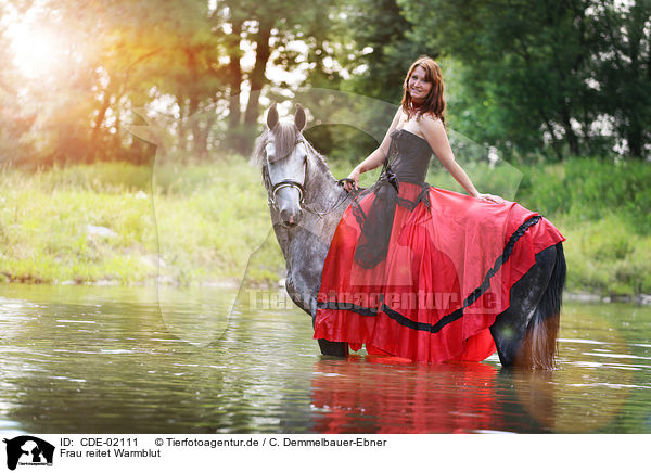 Frau reitet Warmblut / woman rides warmblood / CDE-02111