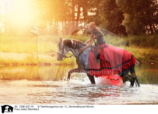 Frau reitet Warmblut / woman rides warmblood / CDE-02115