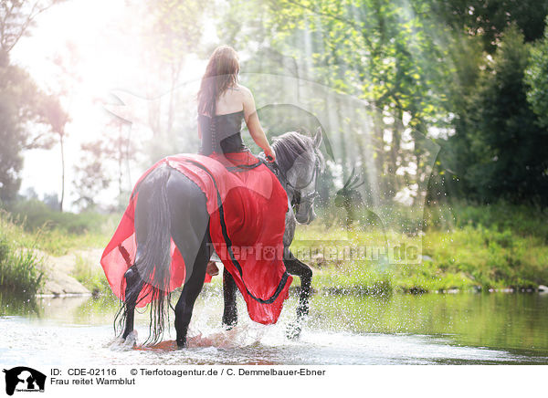 Frau reitet Warmblut / woman rides warmblood / CDE-02116