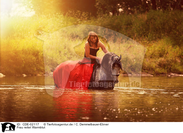 Frau reitet Warmblut / woman rides warmblood / CDE-02117