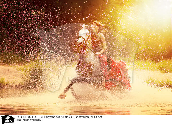 Frau reitet Warmblut / woman rides warmblood / CDE-02118