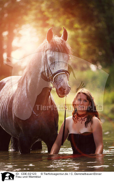 Frau und Warmblut / woman and warmblood / CDE-02123