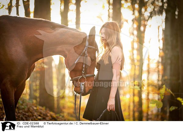 Frau und Warmblut / woman and warmblood / CDE-02388
