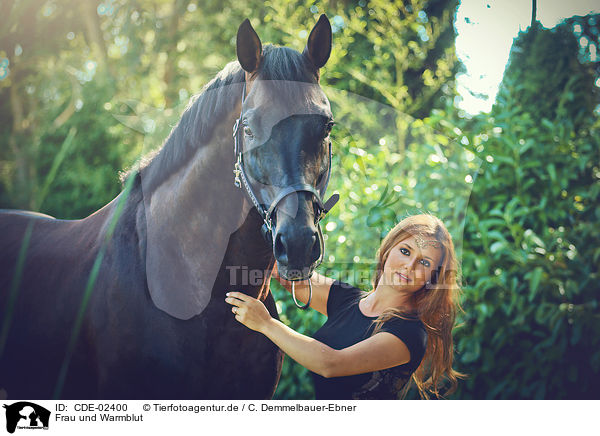 Frau und Warmblut / woman and warmblood / CDE-02400