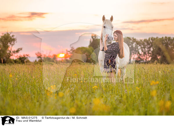 Frau und Warmblut / woman and warmblood / MAS-01275
