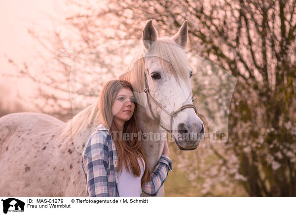 Frau und Warmblut / woman and warmblood / MAS-01279