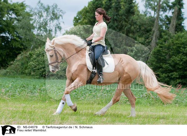 Frau reitet Warmblut / NS-04678