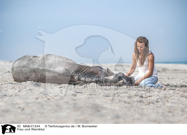 Frau und Warmblut / MAB-01244